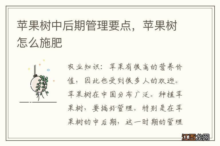 苹果树中后期管理要点，苹果树怎么施肥