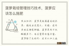 菠萝栽培管理技巧技术，菠萝应该怎么施肥