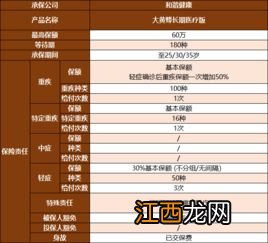 大黄蜂2号长期医疗版是哪家保险公司的产品？