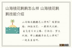 山海镜花鹣鹣怎么样 山海镜花鹣鹣技能介绍