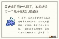 养转运竹用什么瓶子，家养转运竹一个瓶子里放几根最好