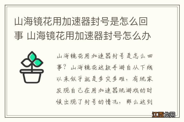 山海镜花用加速器封号是怎么回事 山海镜花用加速器封号怎么办