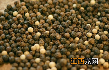 胡椒的高产种植管理技术,胡椒怎么繁殖