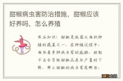 甜椒病虫害防治措施，甜椒应该好养吗，怎么养殖