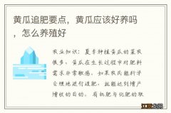 黄瓜追肥要点，黄瓜应该好养吗，怎么养殖好