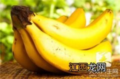 冰糖香蕉治咳嗽怎么做法