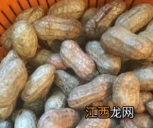 湿花生煮多多久