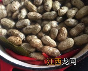 湿花生煮多多久