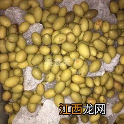 冰糖泡橄榄怎么做好吃吗