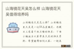 山海镜花天吴怎么样 山海镜花天吴值得培养吗