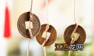 养转运竹水里放什么 水养转运竹放在什么位置好