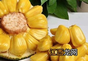 菠萝蜜肉要怎么保存