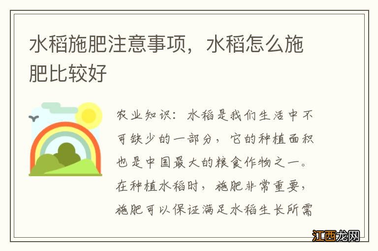 水稻施肥注意事项，水稻怎么施肥比较好