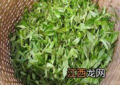 茶叶萎凋怎么判断