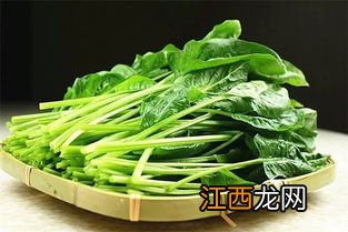 菠菜和怎么做好吃又营养