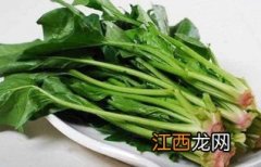 菠菜和怎么做好吃又营养