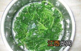 菠菜和鸡蛋粉皮怎么做