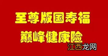 国寿福至尊版附加的长期意外险续保规则是什么？