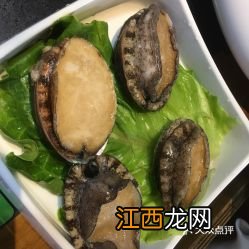 小鲍鱼 要炒多久能熟