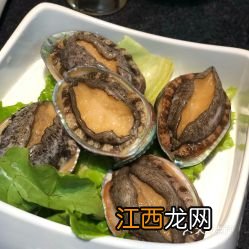 小鲍鱼 要炒多久能熟