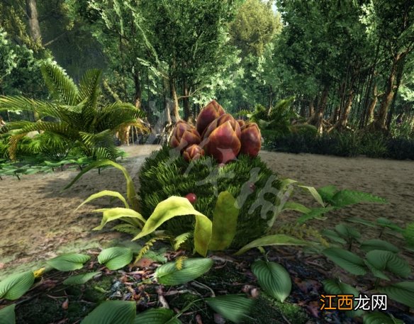 方舟生存进化x异种植物种子怎么用 方舟食人花种子用法分享