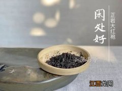 武夷山比赛肉桂怎么喝