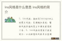 ins风格是什么意思 ins风格的简介