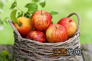 宝宝怎么吃苹果有营养