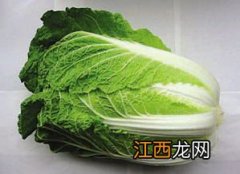 大益大白菜怎么辨真假