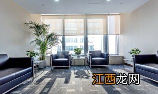 客厅财位放什么植物 客厅财位放什么植物好