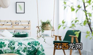卧室放什么植物 卧室放什么植物除甲醛
