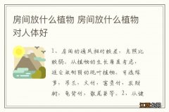 房间放什么植物 房间放什么植物对人体好