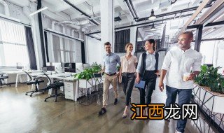 办公桌适合放什么植物? 办公桌适合放什么植物