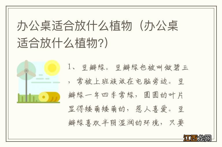 办公桌适合放什么植物? 办公桌适合放什么植物