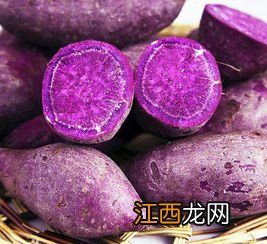 宝宝吃紫薯怎么做法大全集