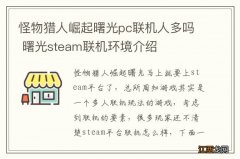 怪物猎人崛起曙光pc联机人多吗 曙光steam联机环境介绍