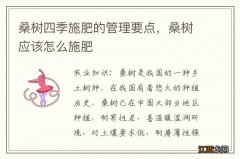 桑树四季施肥的管理要点，桑树应该怎么施肥