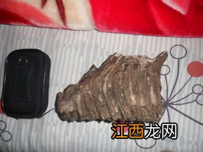 茶化石怎么储存更好