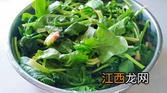 宝宝吃的菠菜汁怎么做好