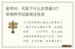 皇帝问：天底下什么东西最大？宰相两字回复保住性命