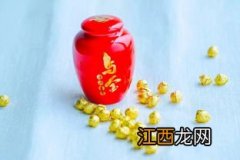 乌金茶怎么喝