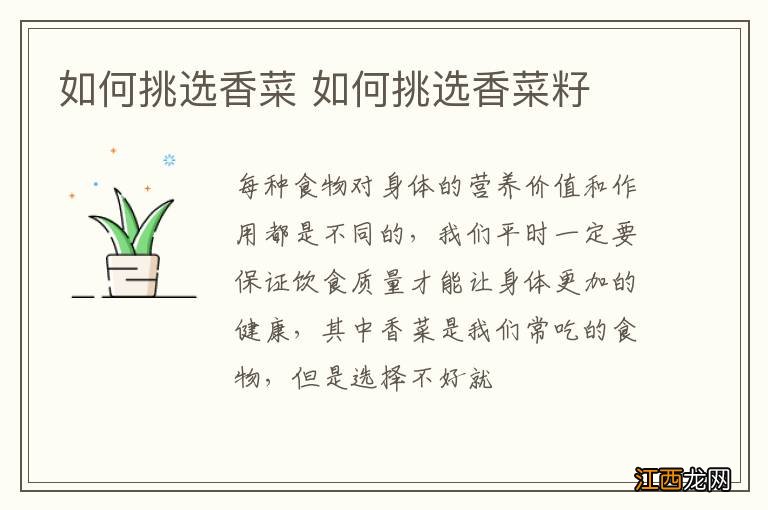 如何挑选香菜 如何挑选香菜籽