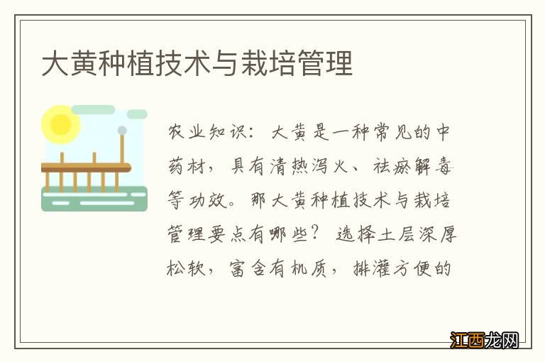 大黄种植技术与栽培管理