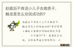 赵威后不肯送小儿子去做质子，触龙是怎么劝说成功的？