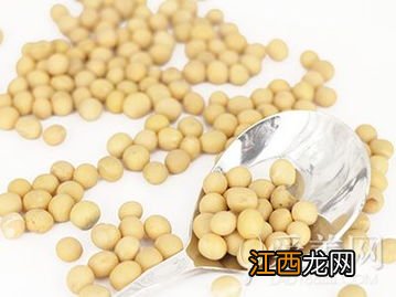 大豆属于什么类