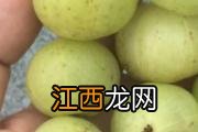 小孩能喝大蒜冰糖水吗 大蒜冰糖水喝几天能好