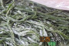 黄豆海带煮多久能熟