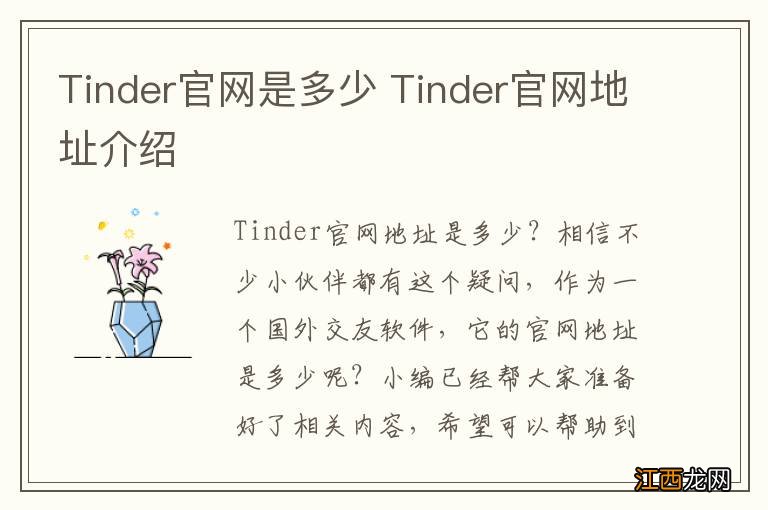 Tinder官网是多少 Tinder官网地址介绍