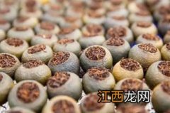 小青桔茶怎么泡才正确