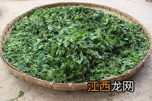 普洱青茶怎么存放